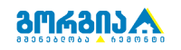 gorgia_logo